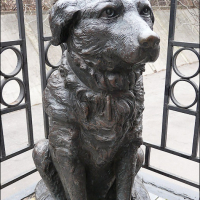 Памятник собаке Пальме и кошке Изауре (Харьков)