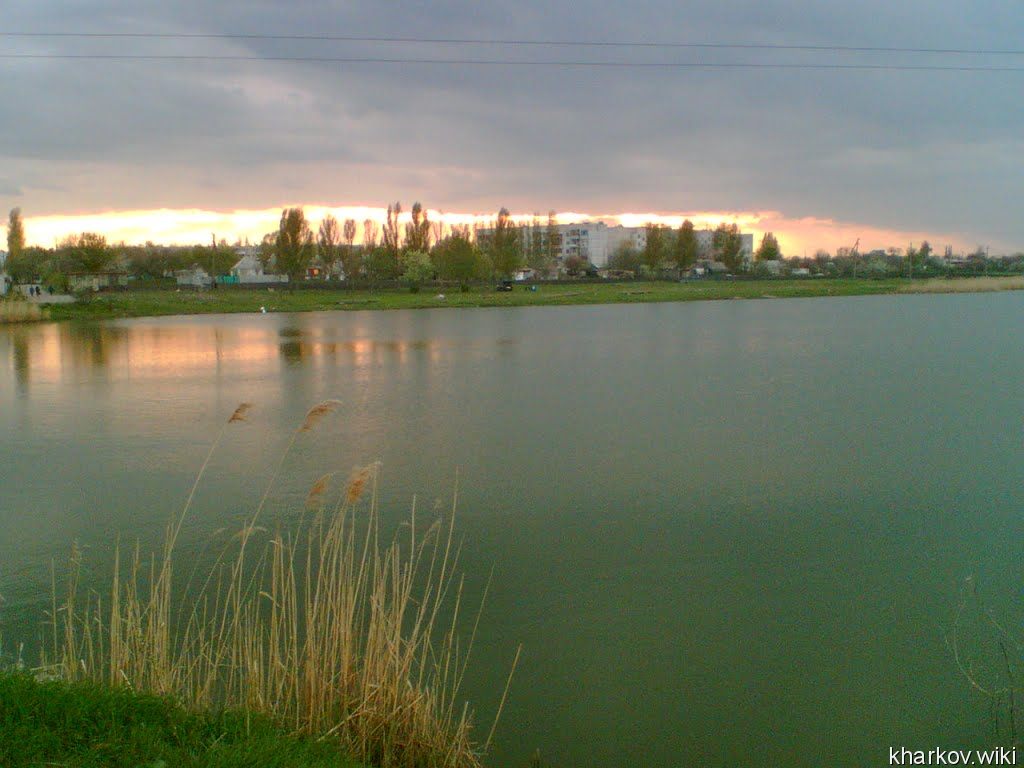 Краснопавловка, Ставок